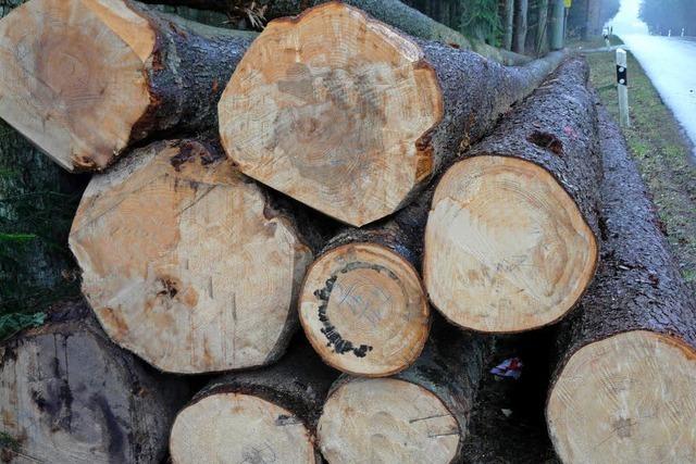 Die Holzpreise bleiben nahezu stabil