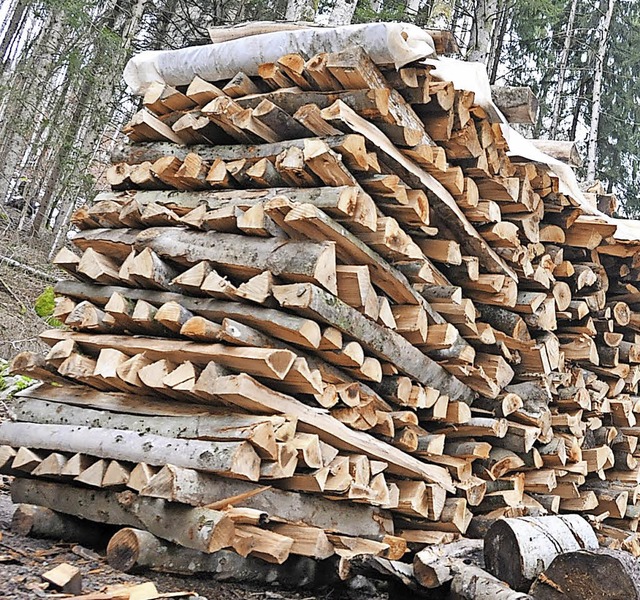 Krftiger  als in diesem Jahr soll 201...berger Wald Holz eingeschlagen werden.  | Foto: Bergmann