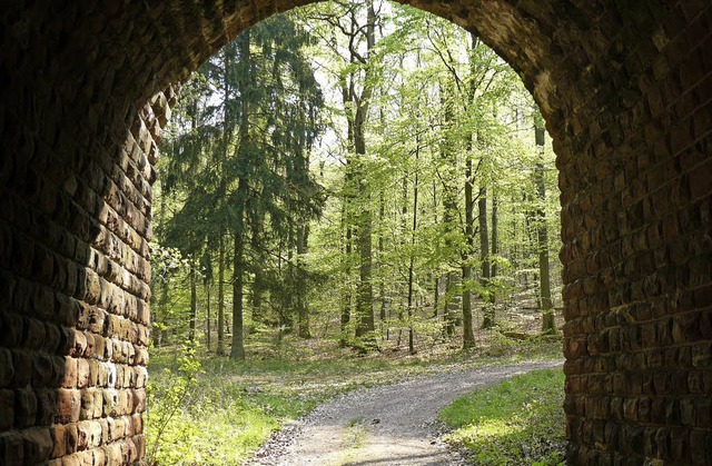 Wer um einen geliebten Menschen trauer...hopfheim mglicherweise Halt finden.    | Foto: Privat