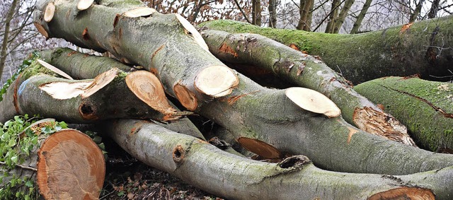 Der Holzmarkt ist gut fr Anbieter und...8211; fr Aufrumholz gilt das nicht.   | Foto: Jahn