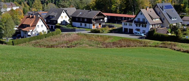 Das knftige Baugebiet Lachenmoos  wir...chle (Hintergrund) her erschlossen.    | Foto: schilling