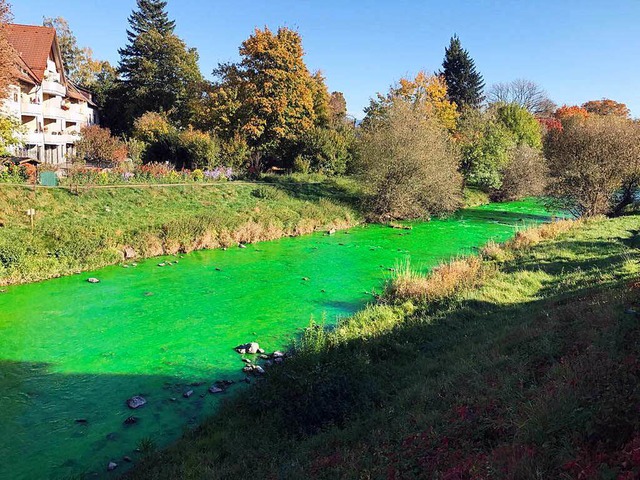 Giftgrnes Wasser in der Dreisam &#821...vermutet Lebensmittelfarbe als Ursache  | Foto: privat