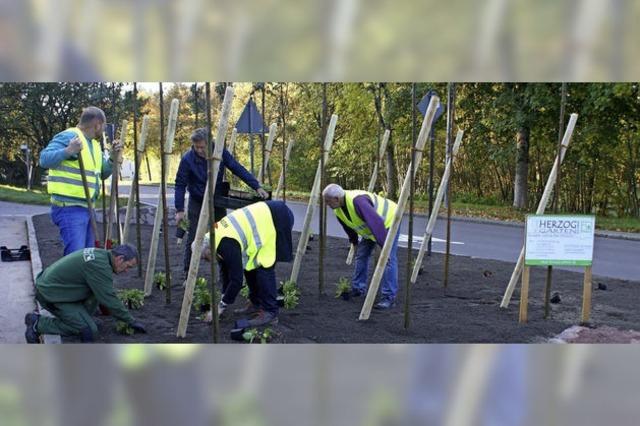 Naturschutz in der Sonne