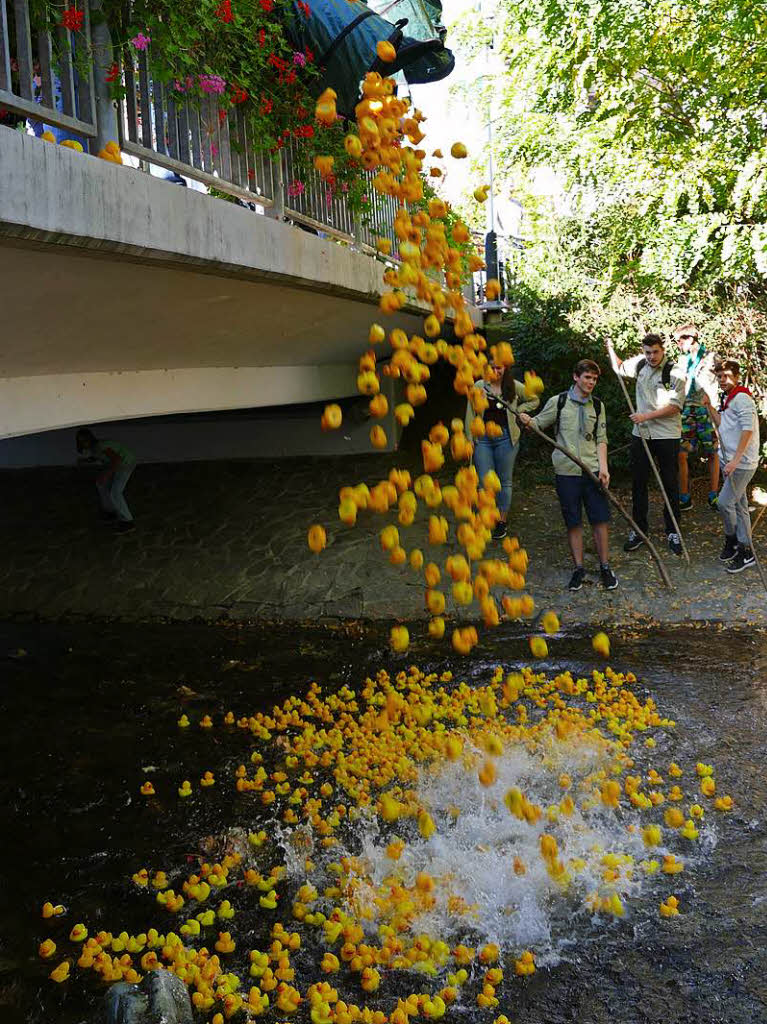 1500 Enten gingen auf die Reise den Neumagen runter.