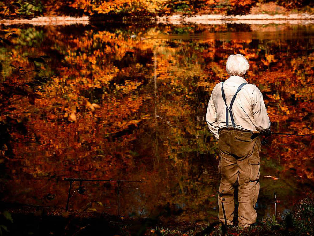 Ein Mann angelt in Stuttgart in einem See, in dem sich der herbstlich gefrbte Wald spiegelt.