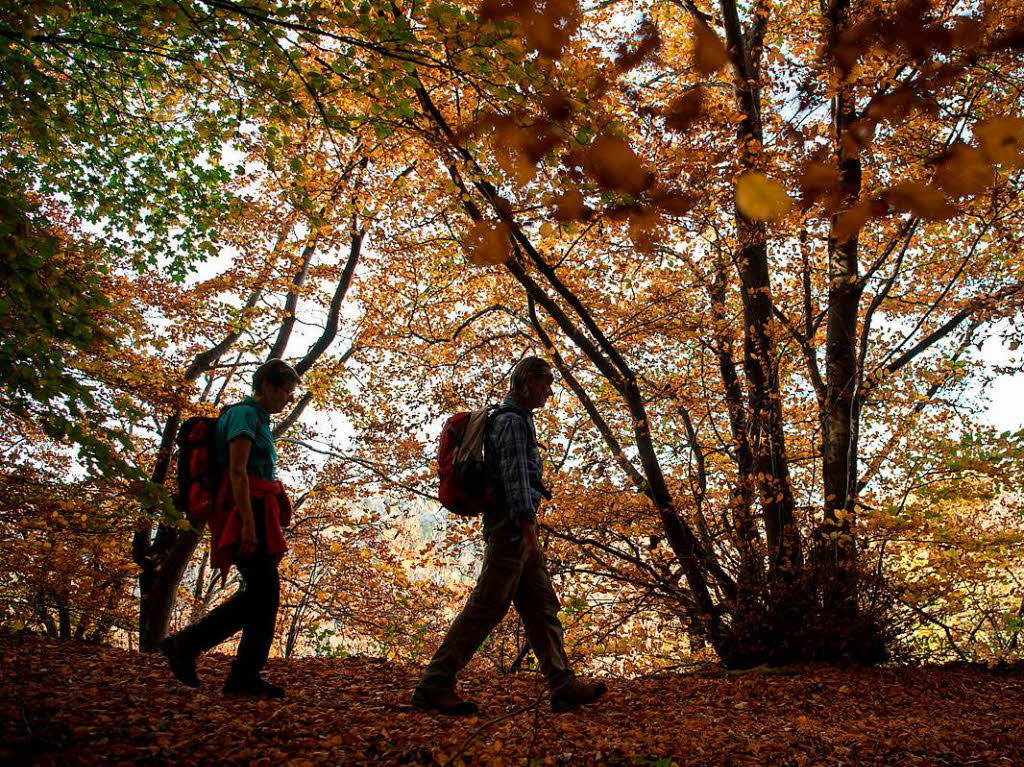 Wanderer gehen bei Lichtenstein durch den herbstlichen Wald.