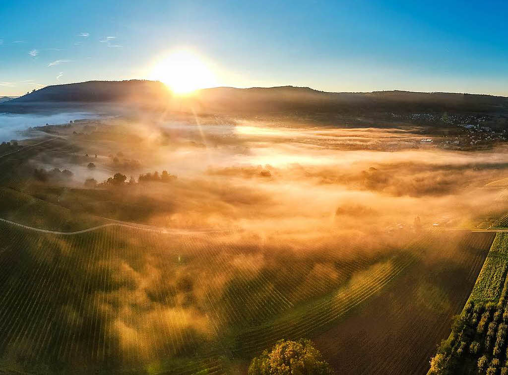 Herbstlicher Sonnenaufgang ber den Weinreben bei Friesenheim