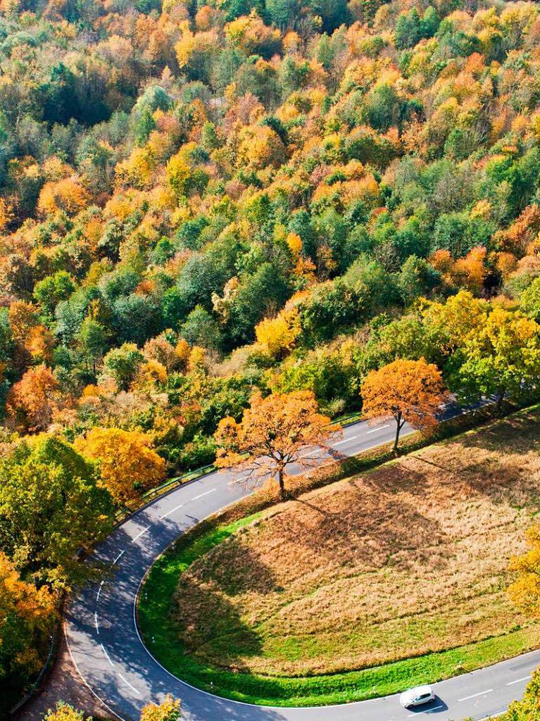 Herbstlicher Laubwald in Niedersachsen