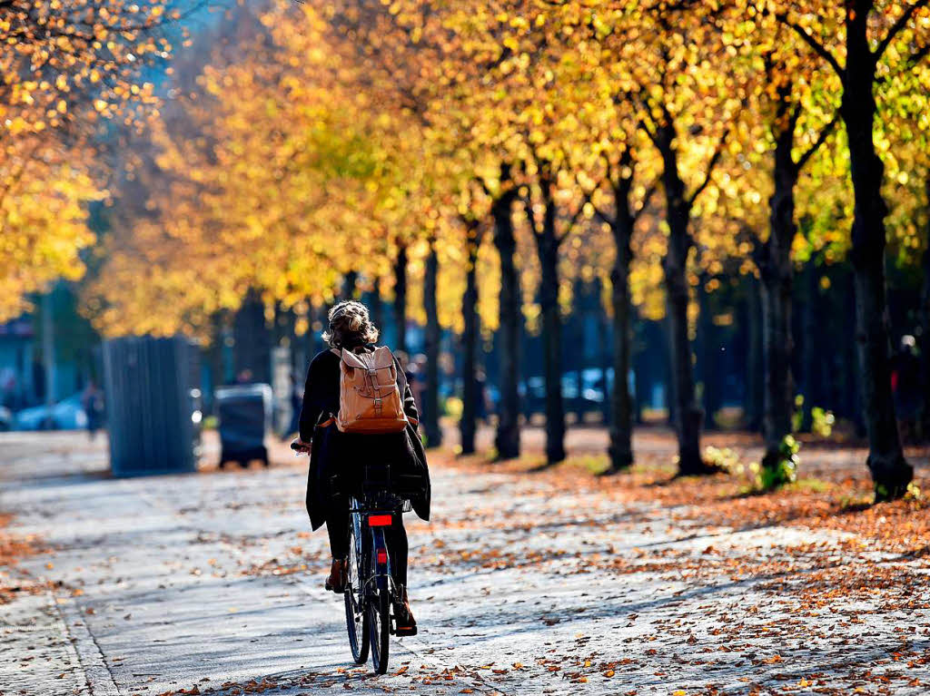 Berlin zeigt sich im Herbst von seiner schnen Seite, bevor es im Winter komplett ergraut.