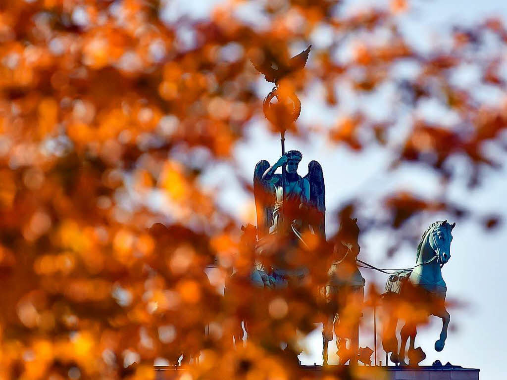 Herbstlich gefrbtes Laub hngt in Berlin an einem Baum vor der Quadriga des Brandenburger Tors.