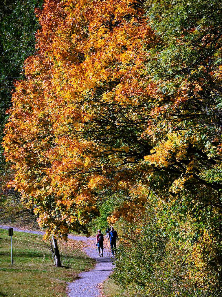 Herbststimmung in Burg bei Kirchzarten