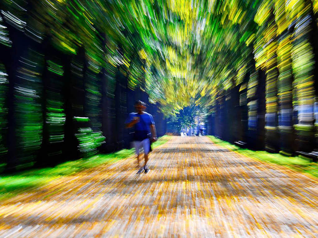 Ein Mann joggt durch den herbstlichen Tiergarten in Berlin.