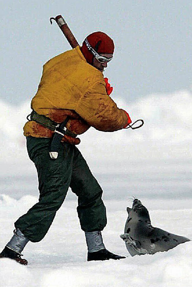 Mann auf Robbenjagd   | Foto: dpa