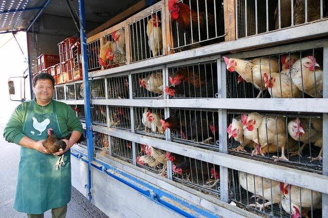 Mobiler Geflügelverkauf bietet lebende Hühner an