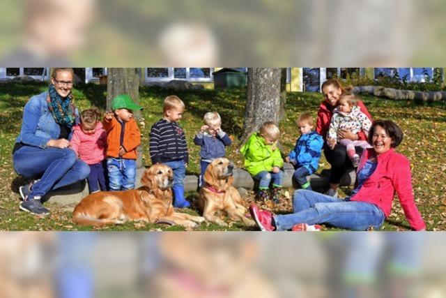 Kindergarten Wunderfitz beschäftigt sich mit der Tierwelt