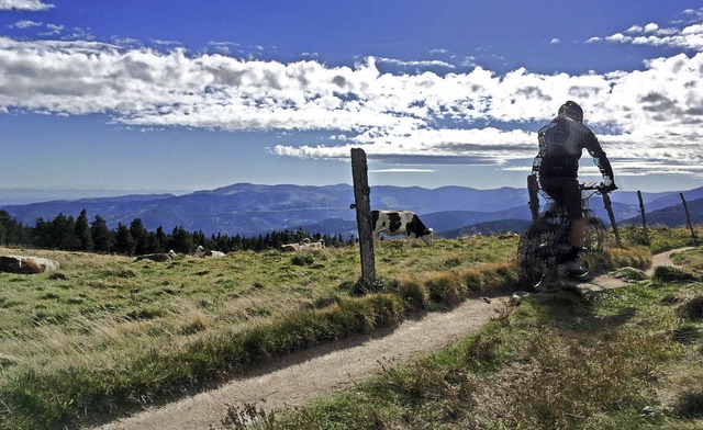 Radeln mit Ausblick: unterwegs in den Vogesen  | Foto: Stefan Zahler