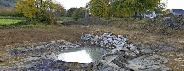 Zur Zeit entsteht unterhalb des Tannen... greren Teich (im Bildvordergrund).   | Foto: Jutta Schtz