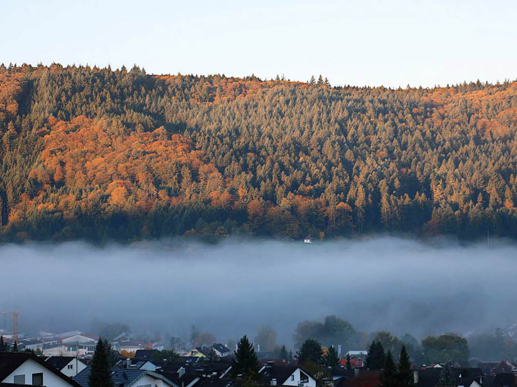 Reichenbach noch teilweise im Nebel
