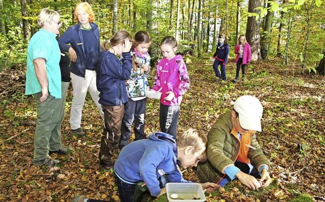 Wiechser Grundschler sind an den Wald...aunlich, was sich alles finden lsst.   | Foto: Anja Bertsch