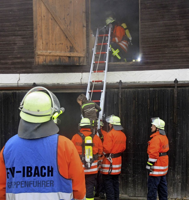 Die Ibacher Feuerwehr rettete bei ihre... St. Blasier Drehleiter zu Hilfe eilte  | Foto: Privat