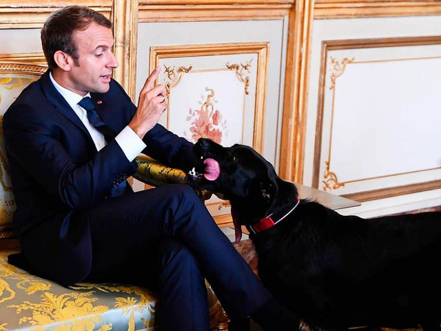 Was befiehlt Macron seinem Hund in die...elst, dann lieber an den Kamin.&#8220;  | Foto: dpa