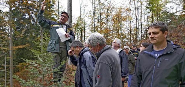 Der Gemeinderat hat die Ausfhrungen G...reidels (links) im Stadtwald verfolgt.  | Foto: H. Miloslavic