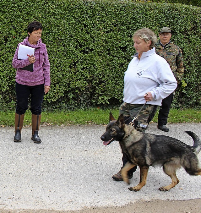 Fest im Blick von Leistungsrichterin G...an dem angeleinten Hund vorbeikommen.   | Foto: H. Bader