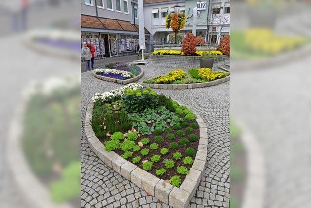 Die Gartenschau ist prsent