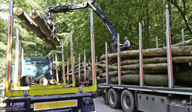 Der Holzverkauf wird neue geregelt. Di...Waldgenossenschaft Sdschwarzwald bei.  | Foto: Ingo Schneider