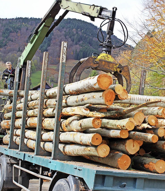Mehr als 500 Langholzlaster sind pro J...zernte im Zeller Stadtwald unterwegs.   | Foto: Hermann Jacob