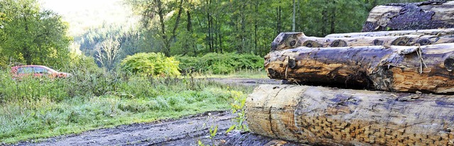 Maulburg Gemeinderat machte den Weg fr...olzplatzes an der L139 vor Adelhausen.  | Foto: Robert Bergmann