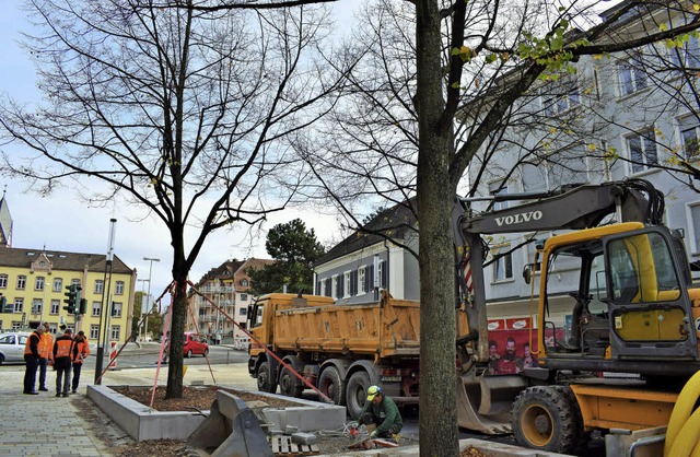 Abgesttzt: Einer der Bume auf dem Lindenplatz, die ersetzt werden mssen  | Foto: Julia Trauden
