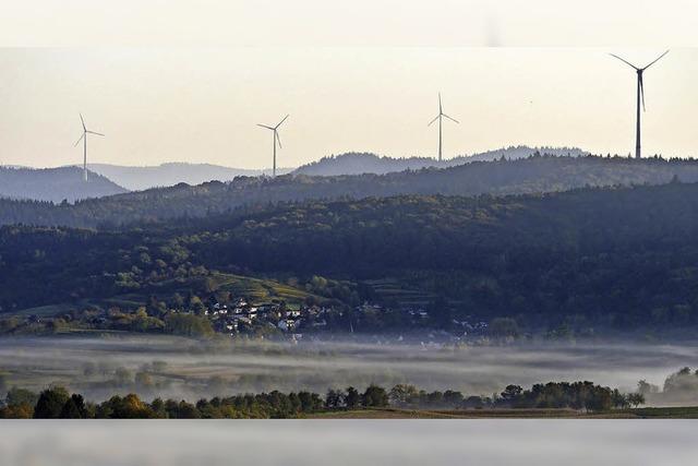 Rckenwind fr die Waldbilanz