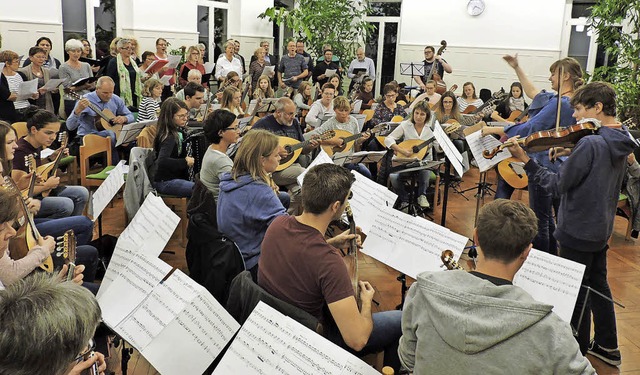 Das Orchester des Mandolinenvereins mi...ico Schanz, am Akkordeon Karin Fleck.   | Foto: Sylvia Sredniawa