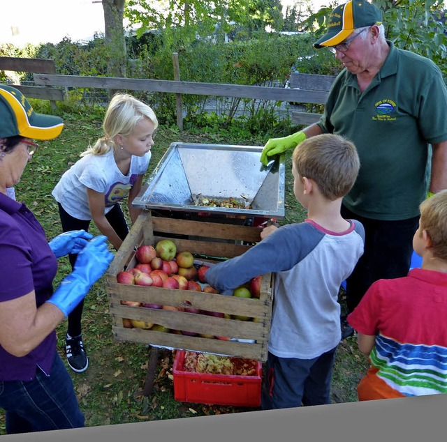 Die Kinder helfen beim Apfelsaftpressen.   | Foto: Claudia Bachmann-Goronzy