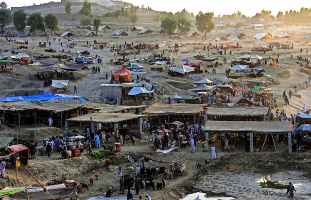 Markt in Afghanistan: Momeen Hossini s...en schnen Husern in Deutschland vor.  | Foto: AFP