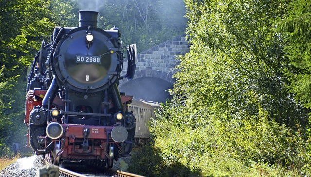 Das Regierungsprsidium will auch in d...f der Sauschwnzlebahn sicherstellen.   | Foto: Juliane Khnemund