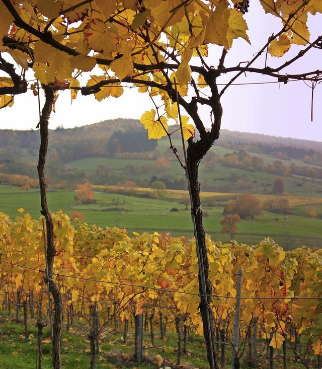 Herbstlicher Blick in Richtung Britzingen  | Foto: Edgar Erler