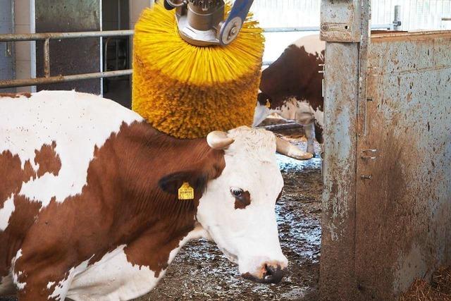 Erlebnisbauernhof Kopf