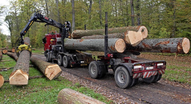 Per Tieflader werden Douglasienstmme ...Wollbacher Strle&#8220; angeliefert.  | Foto: Reinhard Cremer