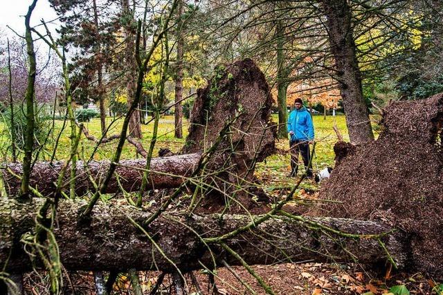 Sturm Herwart hinterlsst Tote und Verletzte