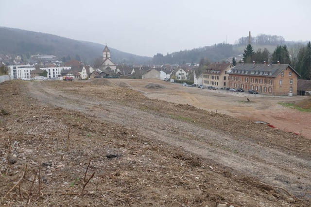 Die Flche mit dem grten Entwicklungspotenzial bietet das Tonwerkeareal.  | Foto: Markus Maier