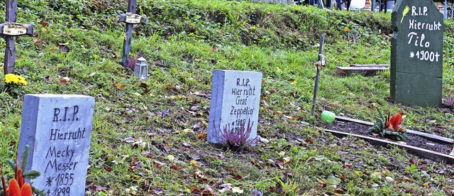 Huuh, gar Unheimliches im Zoo: Ruhen h...lich Mecky Messer und Graf Zeppelin ?   | Foto: Karin Heiss