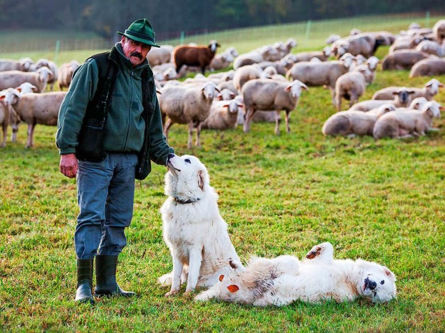 Schfer Manfred Voigt und seine zwei Herdenschutzhunde  | Foto: dpa
