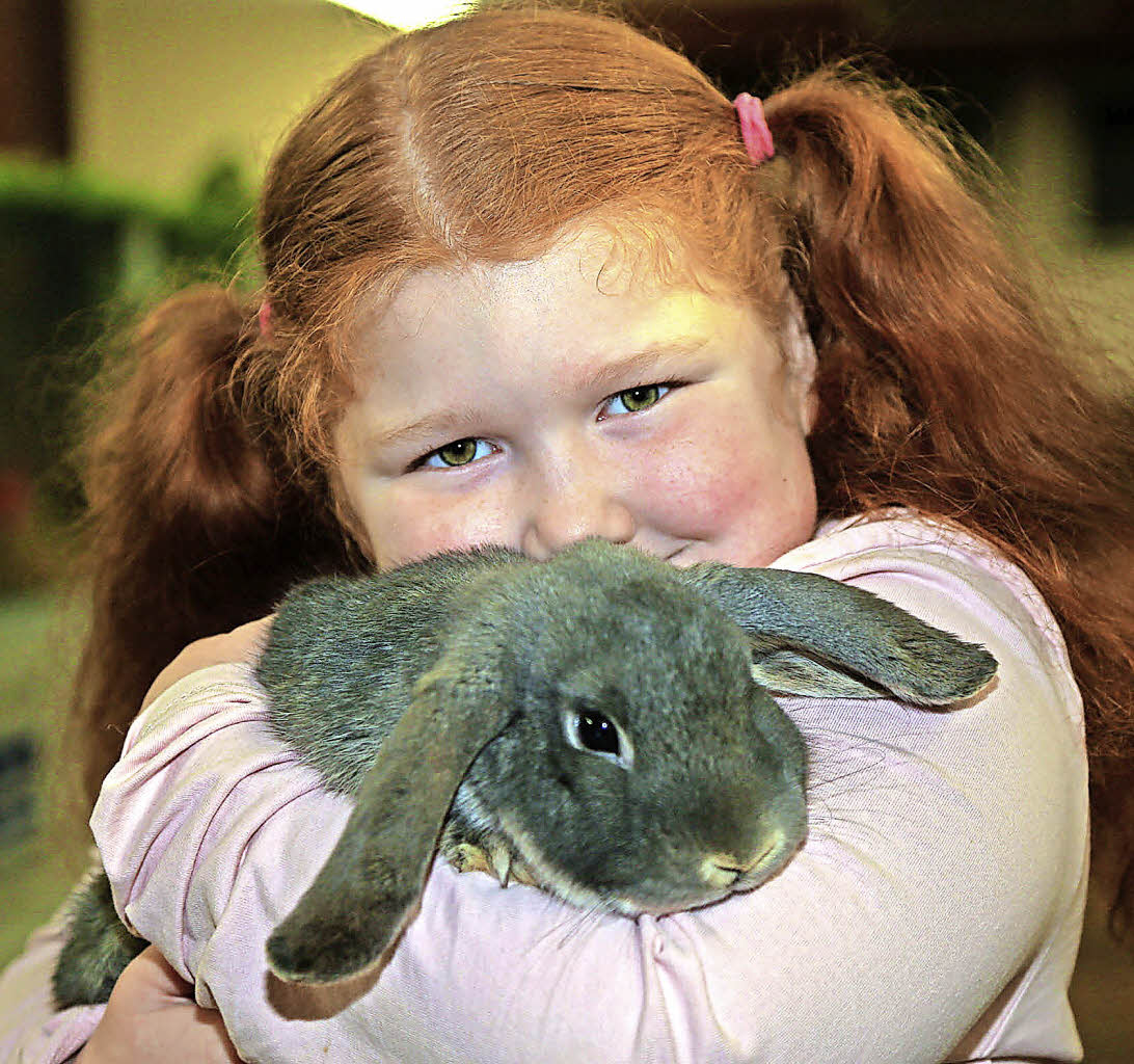 Die Mühen der Züchter haben sich gelohnt - Kippenheim - Badische Zeitung