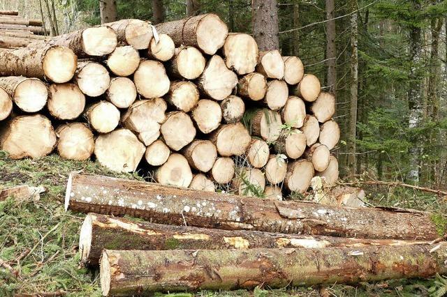 Stadt mchte beim Holzverkauf flexibel bleiben