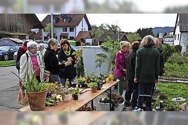 BEOBACHTET & GEHRT