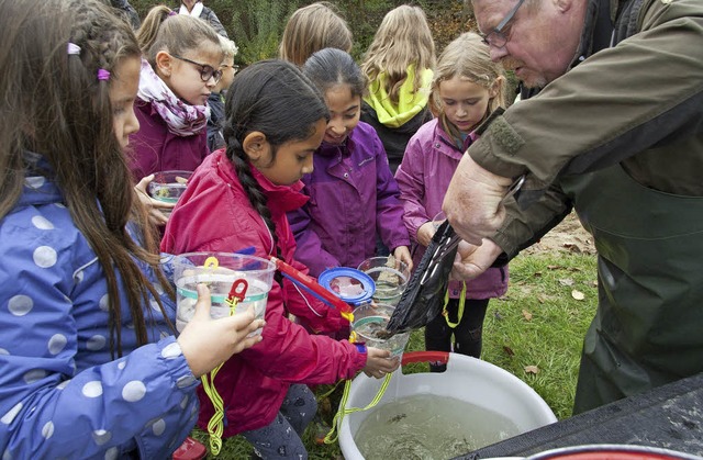 So spannend kann Schule sein: Drittkl...g&#8220; eine Menge ber ihre Umwelt.   | Foto: Hansgrohe SE