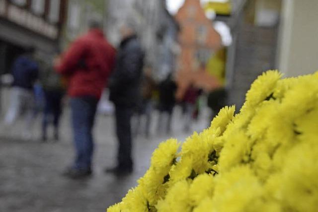 CHRYSAN-THEMA : Leere Blumenschau?
