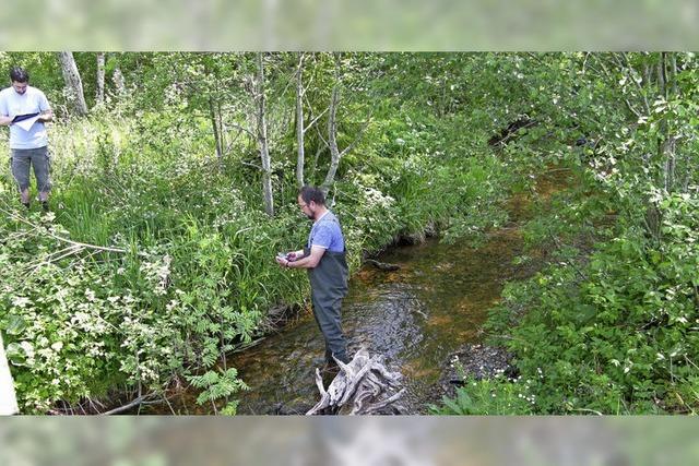 Angler sorgen sich um Wasserqualitt